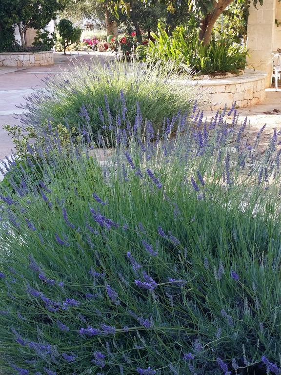 Bed and Breakfast Il Melograno Ceglie Messapica Exterior foto
