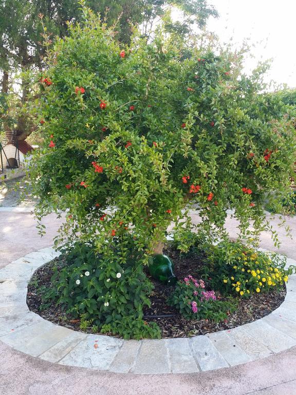 Bed and Breakfast Il Melograno Ceglie Messapica Exterior foto